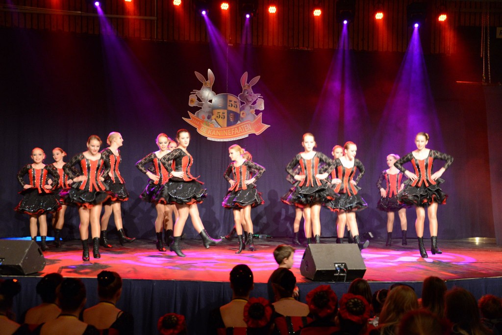 ../Images/Dansmarieke festival 2015 159.jpg